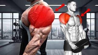 7 Easy Exercises To Build Your Shoulders Fast