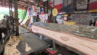 sawing a nice oak log # 578