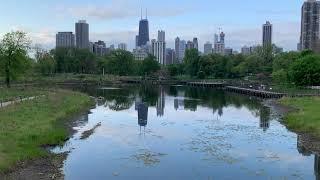 View of Downtown Chicago