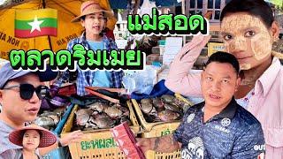 ตลาดริมเมยล่าสุด กุ้งพม่า ปูดำ ขายแบบติดชายแดนไทย