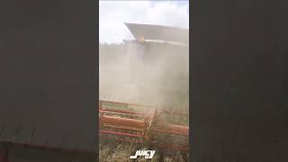 ЗБИРАННЯ УРОЖАЮ 2023 #agro #farming2023 #жнива #джондір #johndeere #село #farmerlife #агро #україна