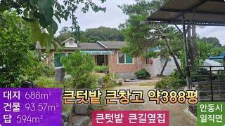 큰텃밭 큰창고 농장 (84) 1억6천만원 (대지 688m²  + 건물 93.57m²  + 답 594m²) 경북 안동시 일직면 망호리 시골농장 010-4949-0049 안동역부동산