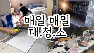 왜 우리집은 매일 대청소를 해야할까?;; | 청소 자극 vlog | clean with me
