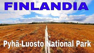 Finlandia Pyhä-Luosto National Park