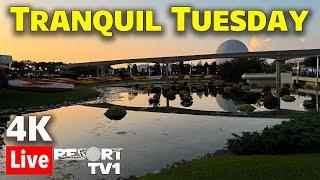 4K Live: Tranquil Tuesday at Epcot in 4K - Walt Disney World Live Stream - 6-25-24