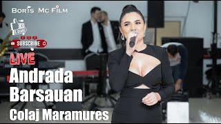 Andrada Barsauan - Colaj Maramures || Muzica de petrecere || LIVE || NOU