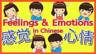 Feeling & Emotions in Chinese Words & Sentences | 中文感觉心情 | 汉语心情感觉 生词和句子 | Mandarin Emotions Feelings