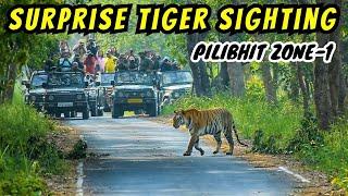 Jungle Safari start hote hi ho gayi Tiger Sighting | Lesser explored Zone 1 of Pilibhit