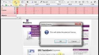 BB FlashBack User Guide: Working with frames