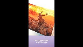  Фотопазл. Как сделать фотопазл. Купить фотопазл в Тольятти. Сделать фотопазл своими руками.