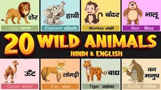 20 Wild Animals Name in Hindi and English with Pictures | 20 जंगली जानवरों के नाम | Animals Name