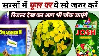 सरसों में फूल पर यह स्प्रे करेगी मालामाल || Best Foliar Spray Combination For Mustard Crop ||