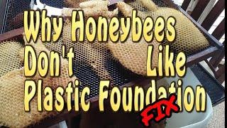 Why Aren't The Bees Building Comb / Plastic Foundation Issues FIXED