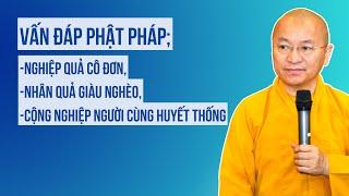 Nghiệp quả cô đơn, Nhân quả giàu nghèo, Cộng nghiệp người cùng huyết thống | VẤN ĐÁP PHẬT PHÁP