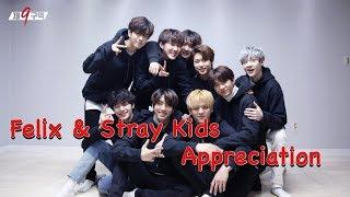 Felix&Stray Kids Appreciation