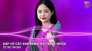 Đập Vỡ Cây Đàn Remix (TD Network) ~ Đập Vỡ Cây Đàn Giận Người Con Gái Yêu Đàn Remix Hot TikTok