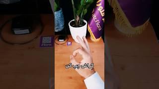 بفرست برای اونی که اومد تو ذهنت