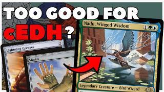 Nadu, Winged Wisdom  Bringing MODERN and CEDH's BEST NEW DECK to BUDGET COMMANDER #edh