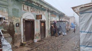 LA PLANTITA MILAGROSA DE ESTE PUEBLO Y SU EXTRAÑO MEDIO DE TRANSPORTE #realdecatorce