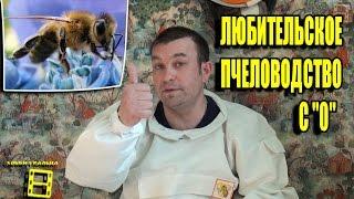 Любительское пчеловодство с "0". Введение.