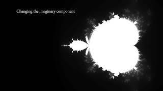 Mandelbrot Fractal Animated