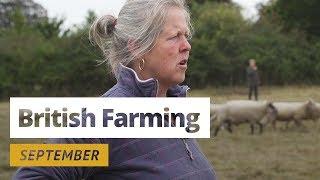 British Farming | 12 Months On A UK Farm: September