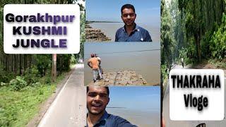 Gorakhpur Kushmi jangle To Thakraha Vlogs | Ankit Kushwaha| Gorakhpur Vlog | Kushmi jangle |Thakraha