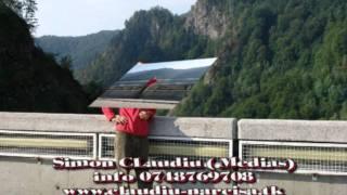 Simon Claudiu   Love me tender  live