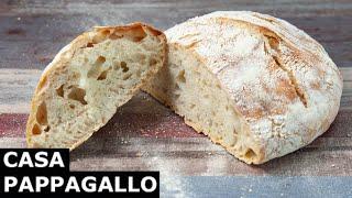 Come Fare Il Pane Senza Impasto