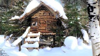 НОЧЬ в ИЗБЕ МОГЛА БЫТЬ ПОСЛЕДНЕЙ | МОЗГИ НА БЕРЕЗЕ | НАПАЛА ХВОРЬ!