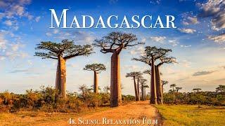Madagascar 4K - Scenic Relaxation Film With Calming Music