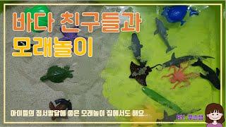 쭈슨생 | 바다친구들과 하는 | 모래놀이 | 물놀이 | 집콕놀이 | Sand play | Water play