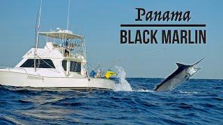 Fishing for Giant Black Marlin | Tropic Star Lodge - Original Film
