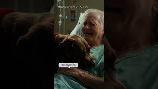 Dog Cries with Owner in Last Emotional Moment ️ #heartwarmingstories #storytime