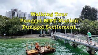 (Guide) Walk From Punggol Coast MRT Station to Punggol Settlement #singapore #walkingtour #coast