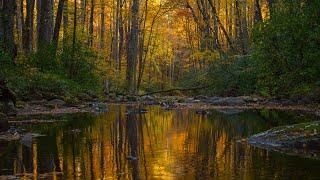 The Blue Ridge Mountains in Autumn Filmed with a Drone.