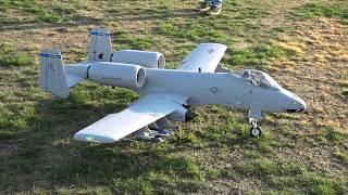 Freewing A-10 Thunderbolt mit 2 x 90-mm-Impeller