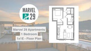 1x1E Floor Plan Virtual Tour - Marvel 29 Apartments