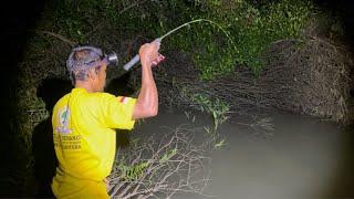 BARU PERTAMA KALI TEMPAT INI DI PANCING MALAM IKAN LELE DISINI BABON BABON