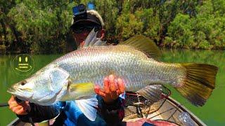 Barramundi Fishing the Fitzroy River Western Australia with Crocodiles & Drone footage