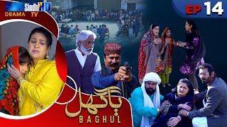 Baghul - Episode 14 | Sindh TV Drama Serial | SindhTVHD Drama