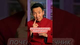 Почему кишечнику необходима ВОДА? // #докторжимба