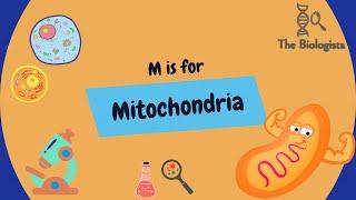 Origin of Mitochondria Explained! 