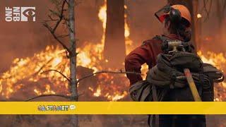 Documentary about Okanagan wildfires