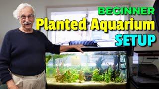 Unleash Your Creativity: How To Create A Stunning Natural Planted Aquarium