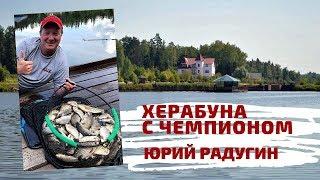 Юрий Радугин. Херабуна с Чемпионом.
