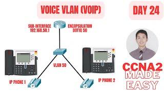 Voice VLAN (VOIP) IP Phone Configuration in Cisco CCNA 2: Day 24