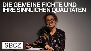 MATERIAL TALK – «Die gemeine Fichte und ihre sinnlichen Qualitäten»