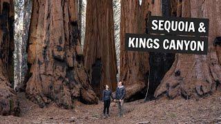 TWO National Parks in TWO DAYS: Sequoia and Kings Canyon