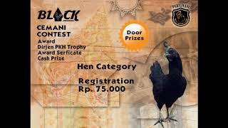 Black Indonesia Cemani Contest